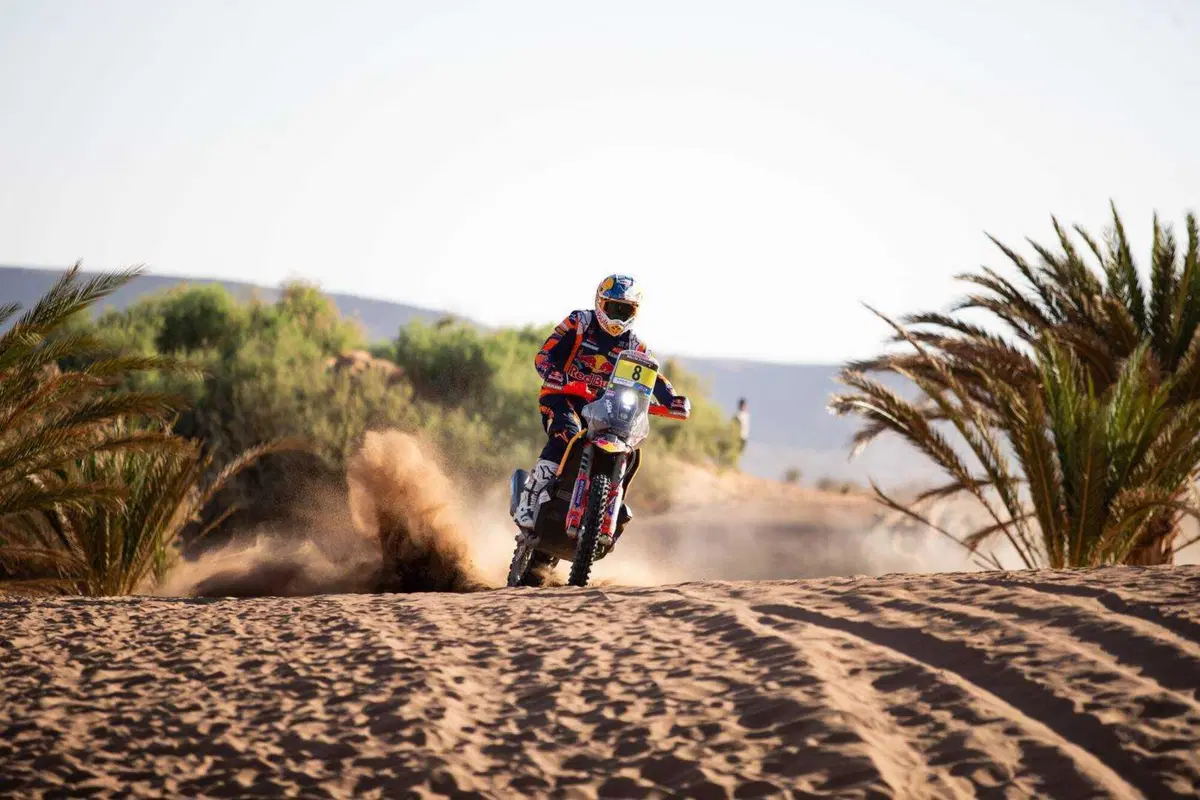 Rally-Raid. Marocco D2. Al Attiyah, Toyota, Campione del Mondo. A Schareina, Honda, la 2a delle Moto (17)