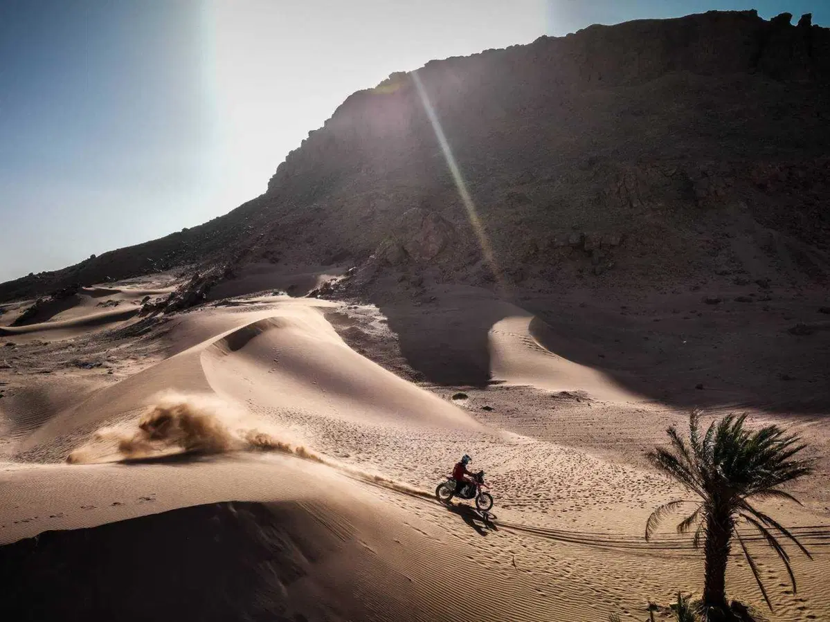 Rally-Raid. Marocco D2. Al Attiyah, Toyota, Campione del Mondo. A Schareina, Honda, la 2a delle Moto (21)