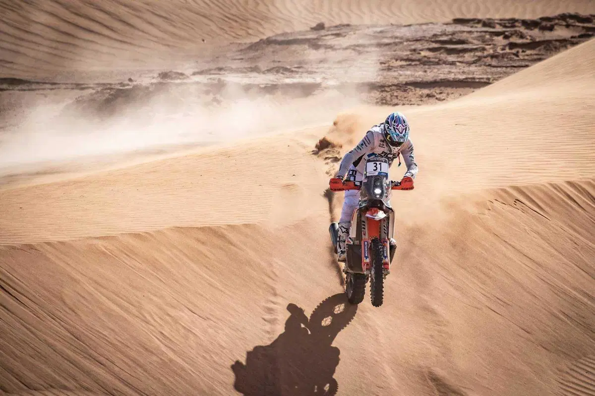 Rally-Raid. Marocco D2. Al Attiyah, Toyota, Campione del Mondo. A Schareina, Honda, la 2a delle Moto (25)