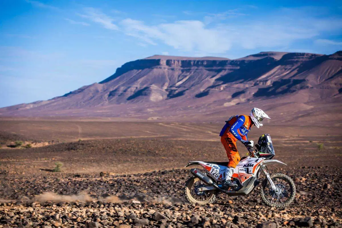 Rally-Raid. Marocco D2. Al Attiyah, Toyota, Campione del Mondo. A Schareina, Honda, la 2a delle Moto (23)