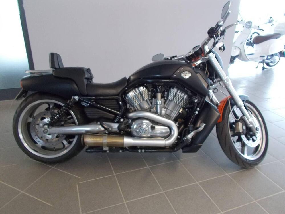 Harley-Davidson 1250 V-Rod Muscle (2009 - 17) - VRSCF