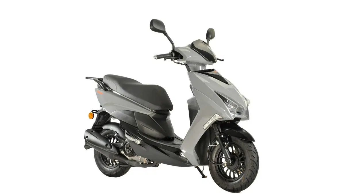 TNT Dixon 50 Dixon 50 10" (2023 - 24)