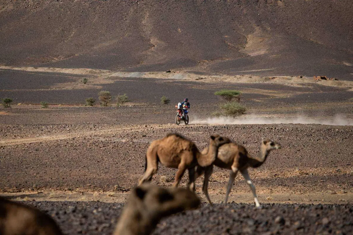 Rally-Raid. Marocco D4. Raffica di colpi di scena sulle dune di Merzouga (16)