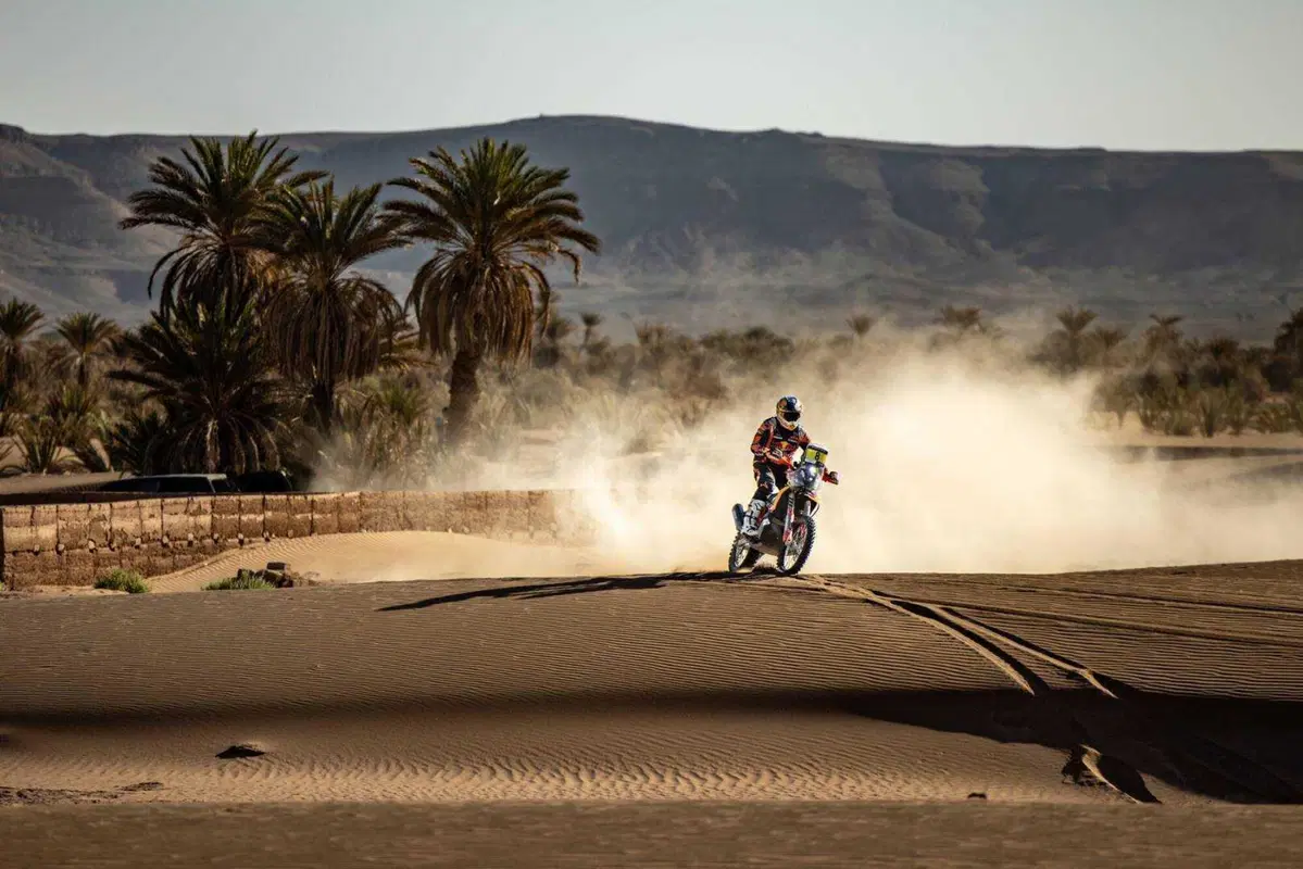 Rally-Raid. Marocco. Signori, ecco i Campioni del Mondo! (32)
