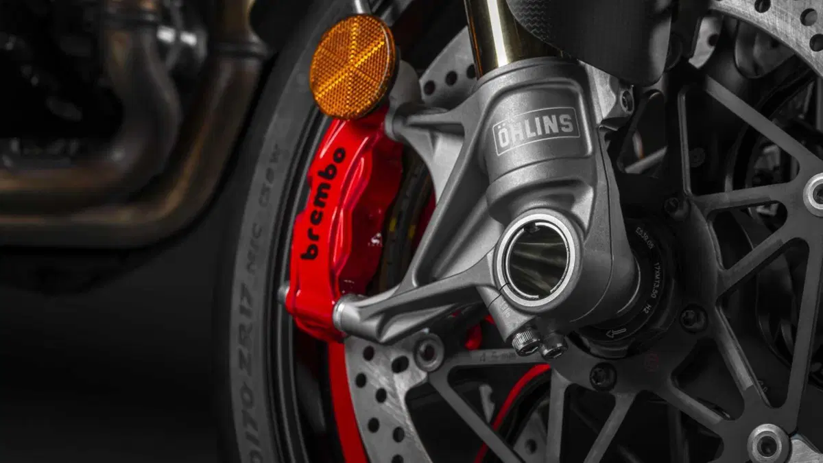 Ducati Multistrada V4 Multistrada V4 RS (2024 - 25) (12)