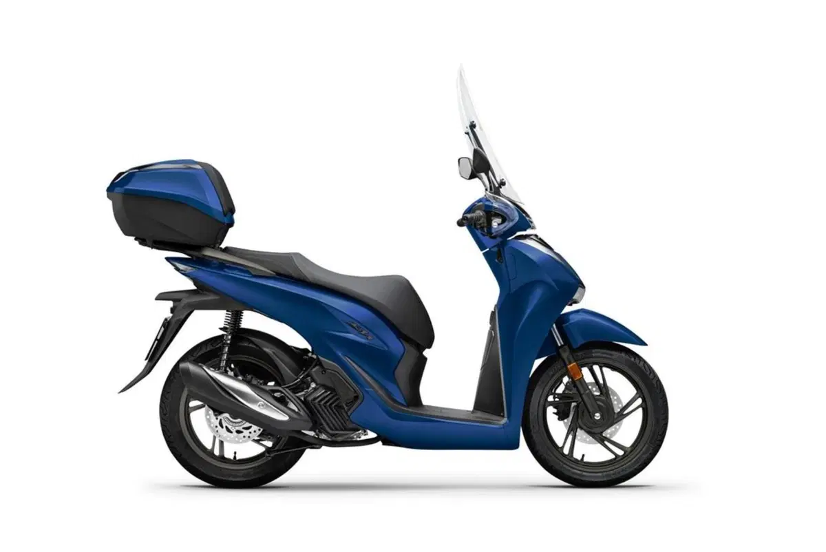 Gamma Honda SH (2)