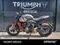Triumph Trident 660 (2021 - 24) (13)