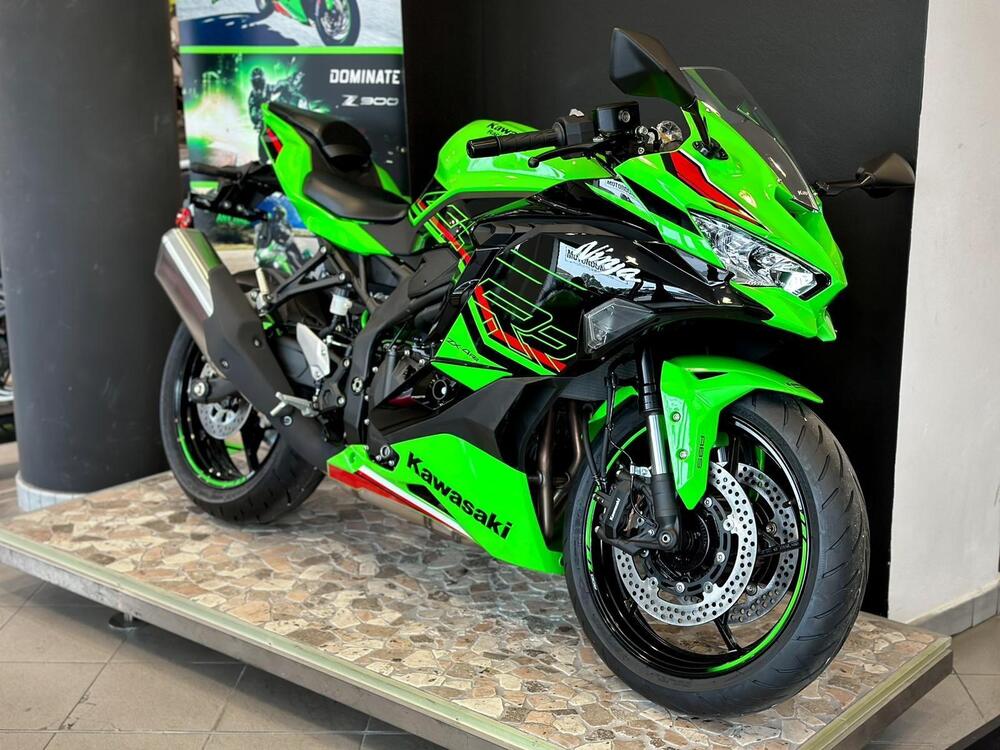 Kawasaki Ninja ZX-4RR (2024 - 25)