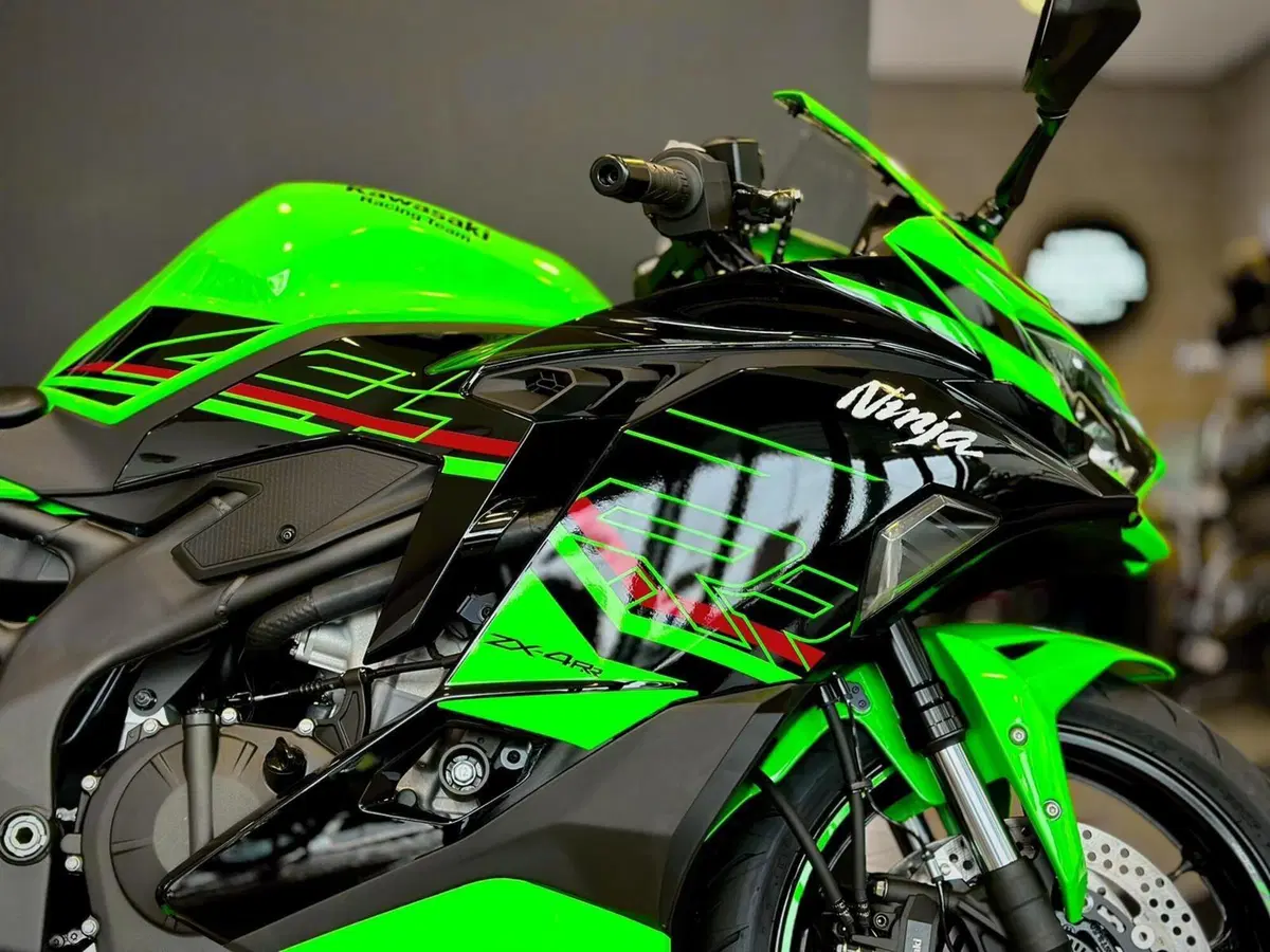 Kawasaki Ninja ZX-4RR (2024 - 26) (3)