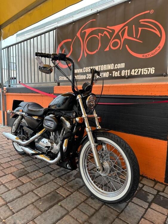 Harley-Davidson 883 (2008 - 09) - XL (2)