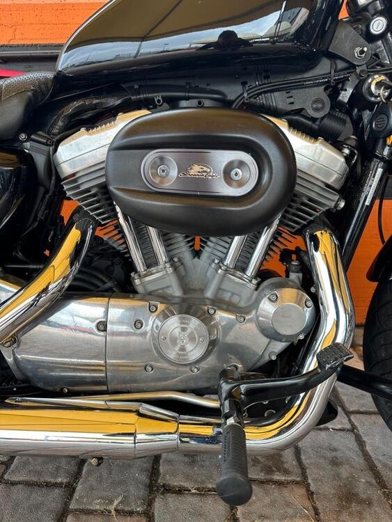 Harley-Davidson 883 (2008 - 09) - XL (4)