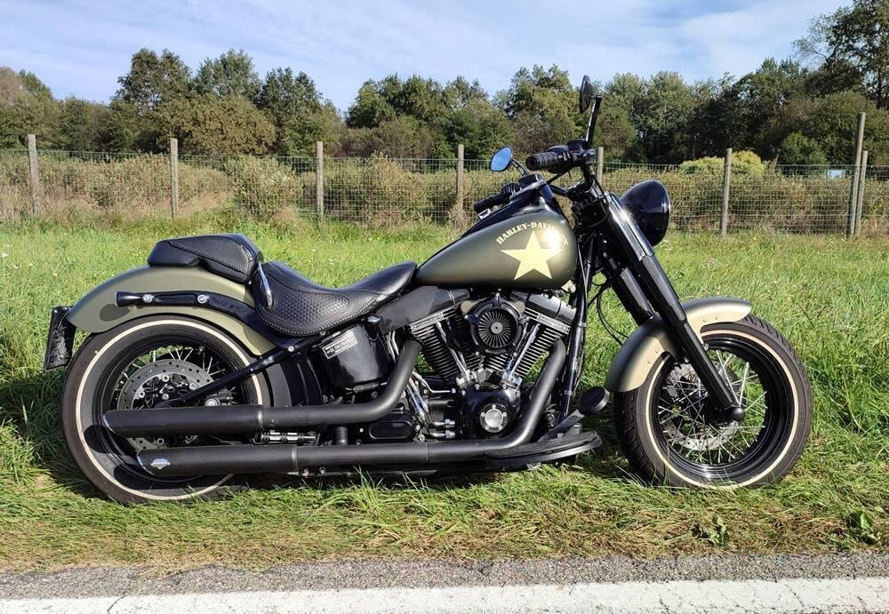 Harley-Davidson 1800 Slim S (2015 - 17) - FLS