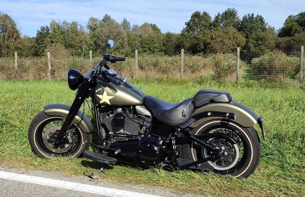 Harley-Davidson 1800 Slim S (2015 - 17) - FLS (2)