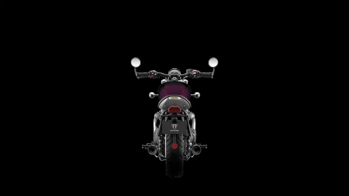 Ecco le nuove Triumph Stealth Edition: dipinte a mano e limitate [GALLERY] (5)