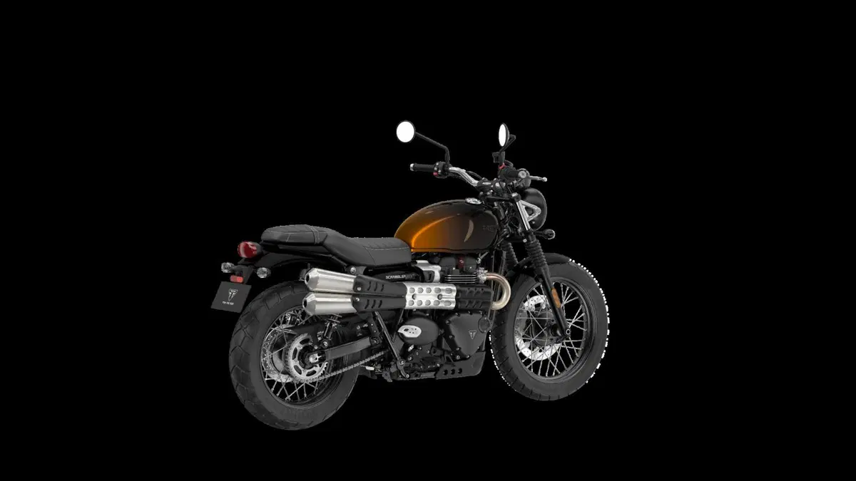 Ecco le nuove Triumph Stealth Edition: dipinte a mano e limitate [GALLERY] (32)