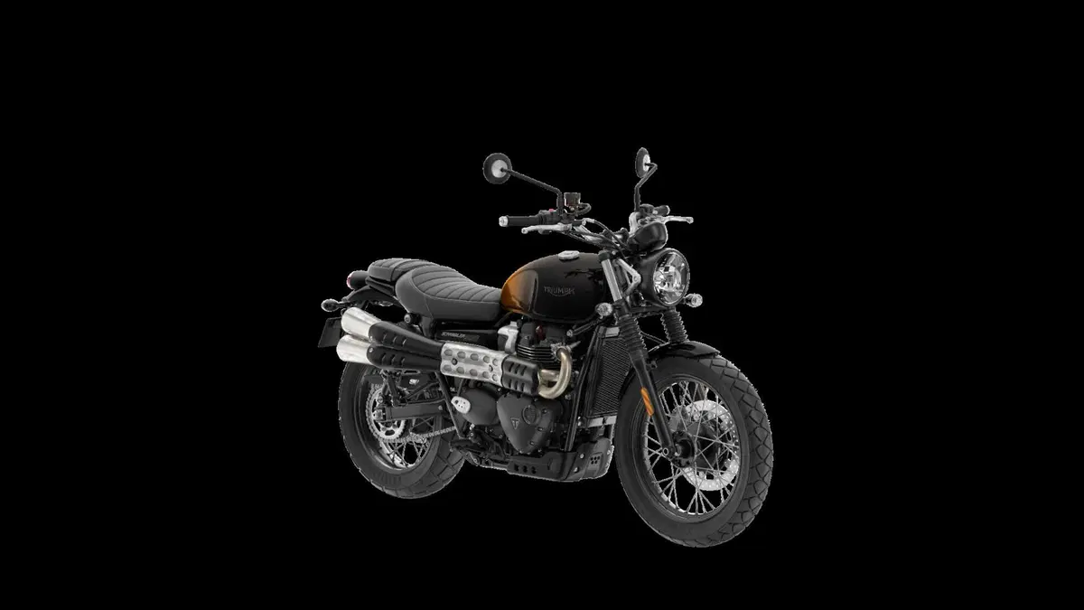 Ecco le nuove Triumph Stealth Edition: dipinte a mano e limitate [GALLERY] (33)