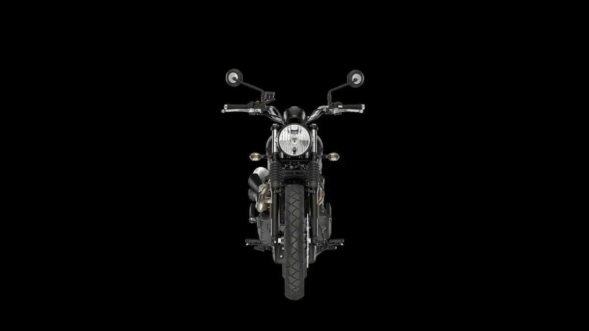 Ecco le nuove Triumph Stealth Edition: dipinte a mano e limitate [GALLERY] (35)