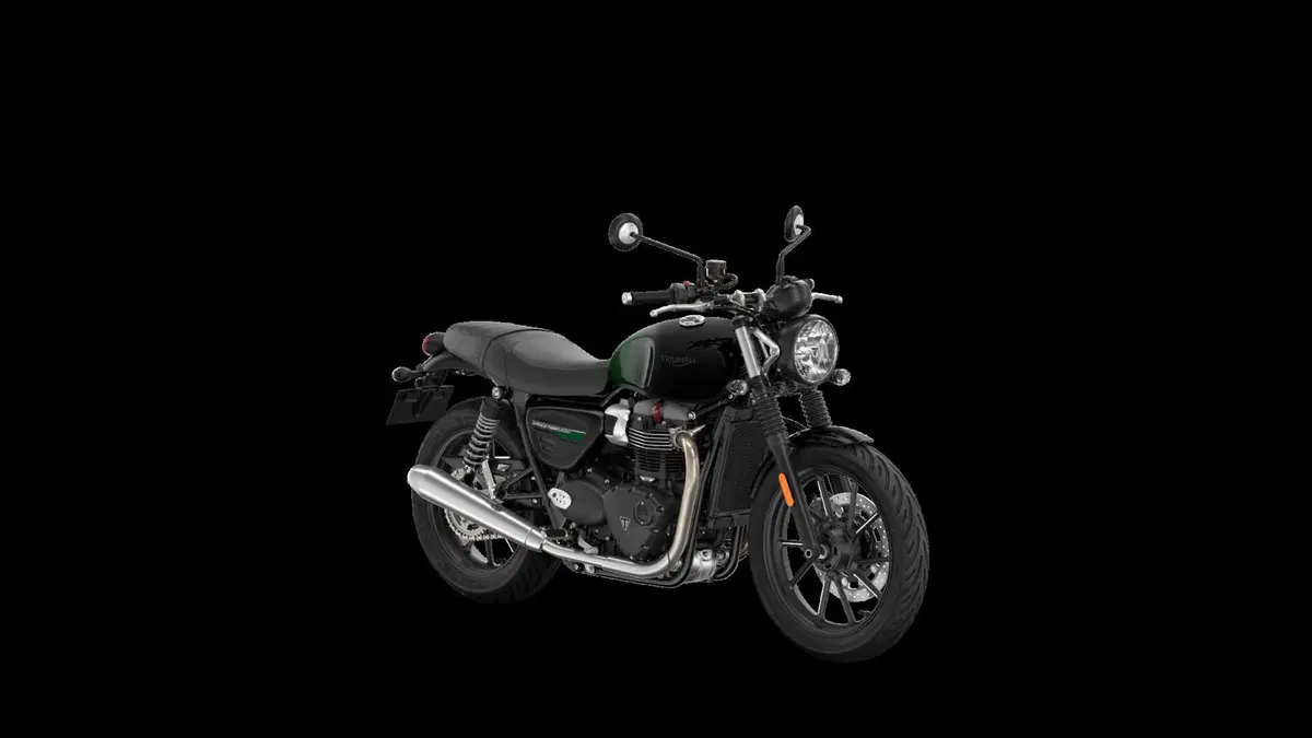 Ecco le nuove Triumph Stealth Edition: dipinte a mano e limitate [GALLERY] (42)