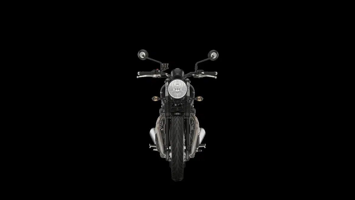 Ecco le nuove Triumph Stealth Edition: dipinte a mano e limitate [GALLERY] (44)