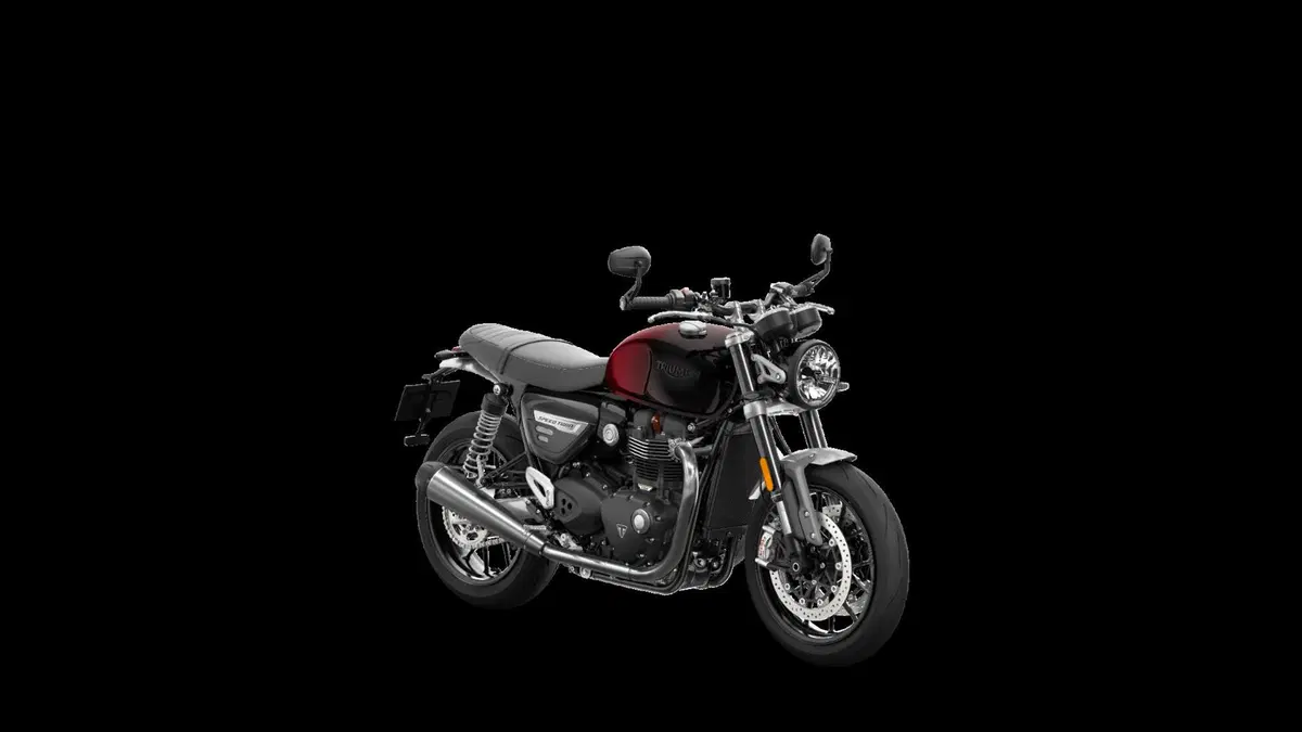 Ecco le nuove Triumph Stealth Edition: dipinte a mano e limitate [GALLERY] (49)