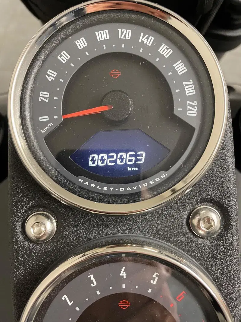 Harley-Davidson 114 Low Rider S (2020) - FXLRS (7)