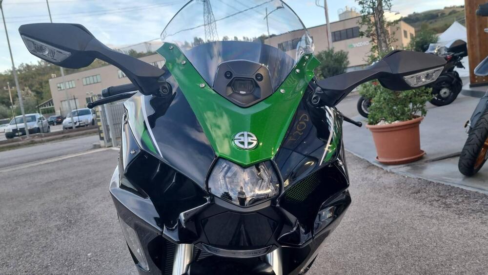 Kawasaki Ninja 1000 H2 SX SE (2023 - 24) (3)