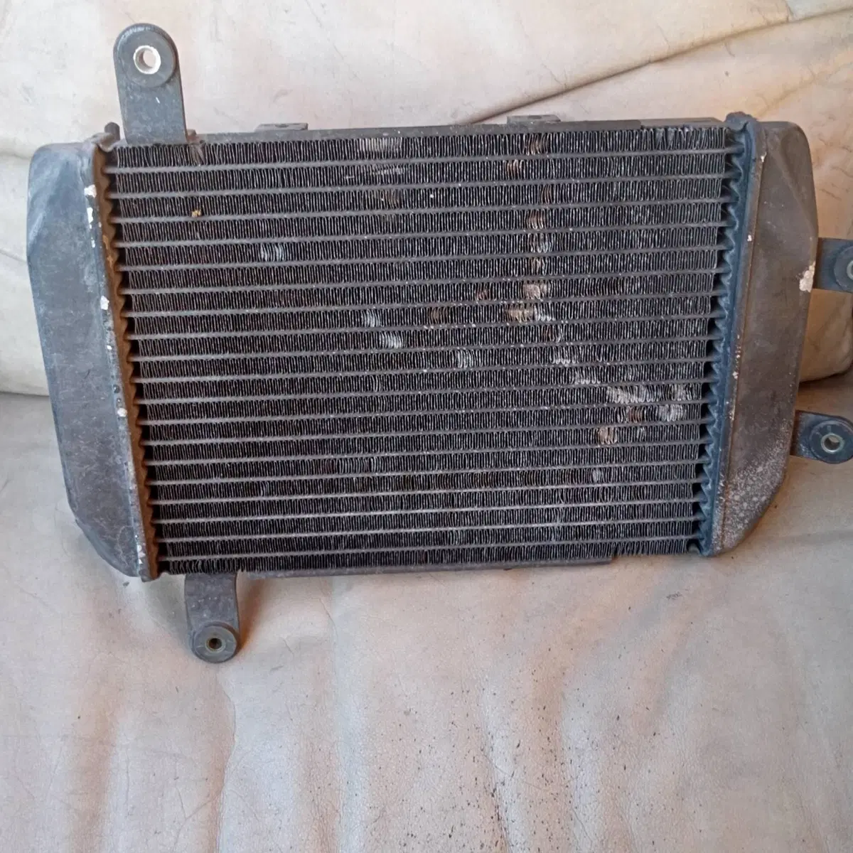 Radiatore Suzuki Burgman (2)