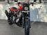 Harley-Davidson 1200 XR (2009 - 12) (6)