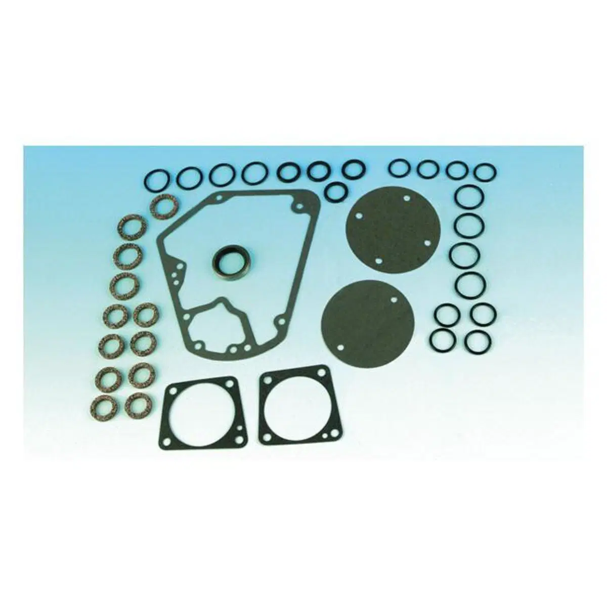 Kit guarnizioni sostituzione cam Per FL, FX, FXWG, 