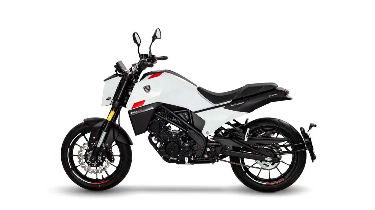 Peugeot PM-01 PM-01 125 (2023 - 26) (6)