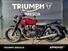 Triumph Speed Twin 900 (2023 - 24) (12)