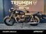 Triumph Bonneville T100 (2021 - 24) (9)