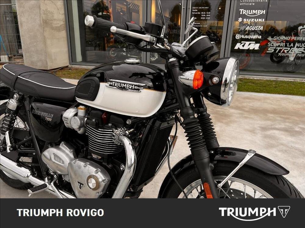 Triumph Bonneville T120 (2021 - 24) (4)