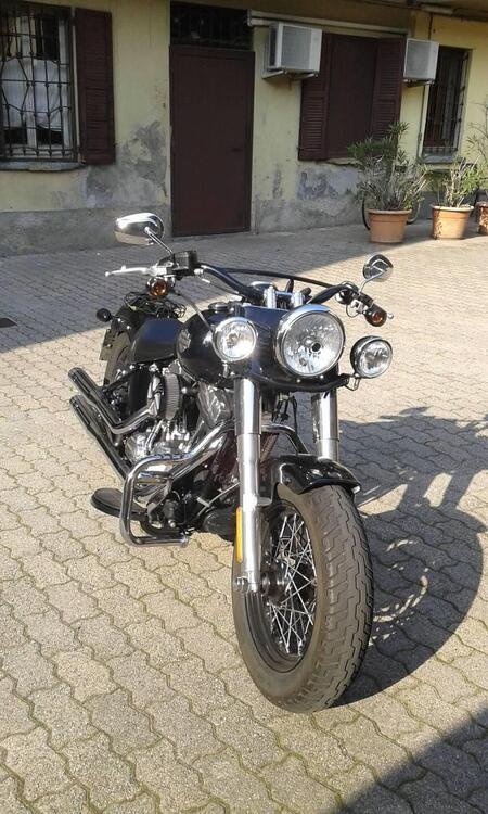 Harley-Davidson 1690 Slim (2011 - 16) - FLS (2)
