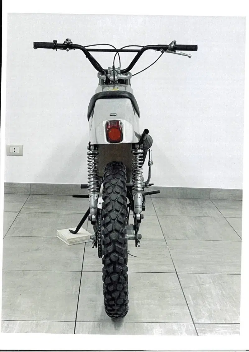 Aspes Aspes cross special '69 (4)