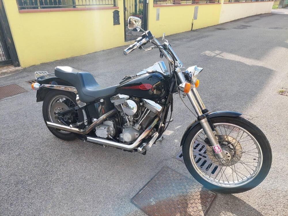 Harley-Davidson 1340 Custom (1989 - 98) (2)