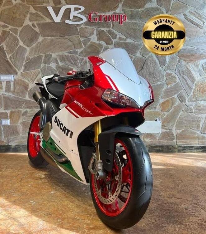 Ducati 1299 Panigale R Final Edition (2017 - 20) (4)