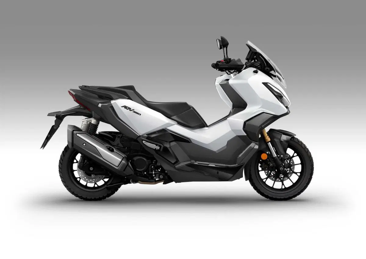 Honda Forza 350 e ADV 350 2024: ecco le nuove colorazioni [GALLERY] (4)