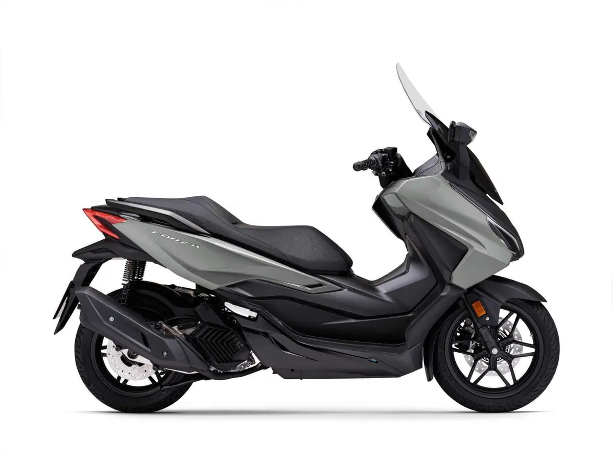 Honda Forza 350 e ADV 350 2024: ecco le nuove colorazioni [GALLERY] (4)