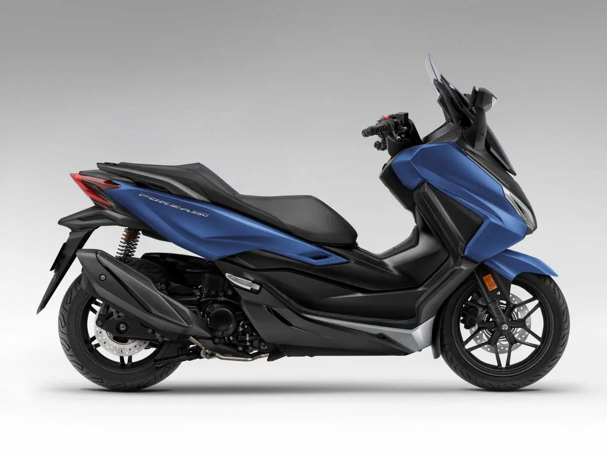 Honda Forza 350 e ADV 350 2024: ecco le nuove colorazioni [GALLERY] (8)