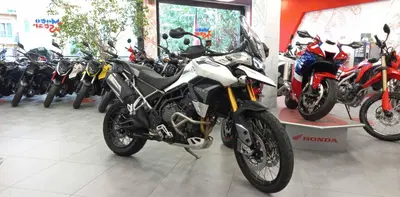 Triumph Tiger 900 Rally Pro (2020 - 23) usata