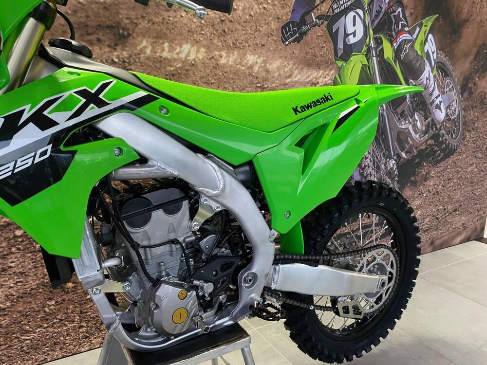 Kawasaki KX 250 (2024) (4)