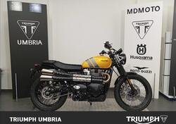 Triumph Scrambler 900 (2023 - 24) nuova