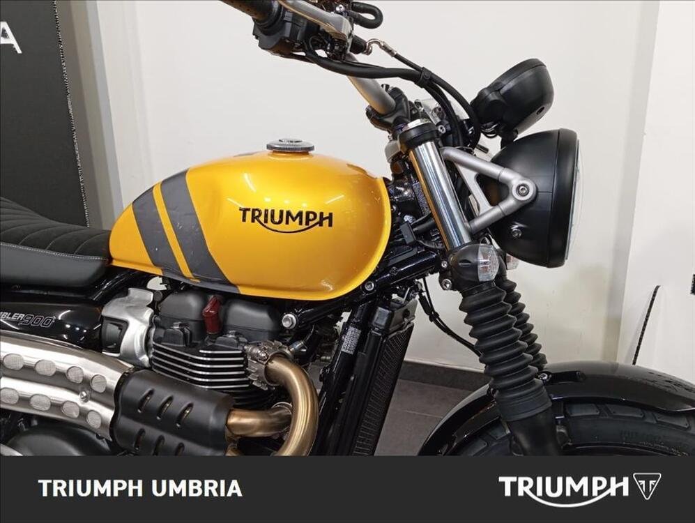 Triumph Scrambler 900 (2023 - 24) (2)