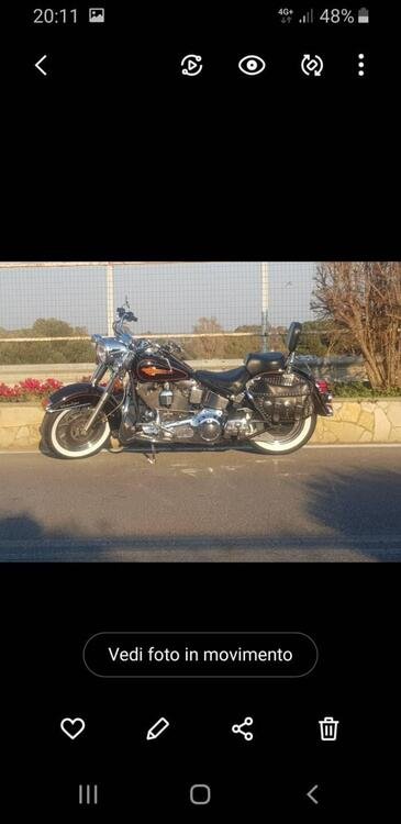 Harley-Davidson flstc (4)