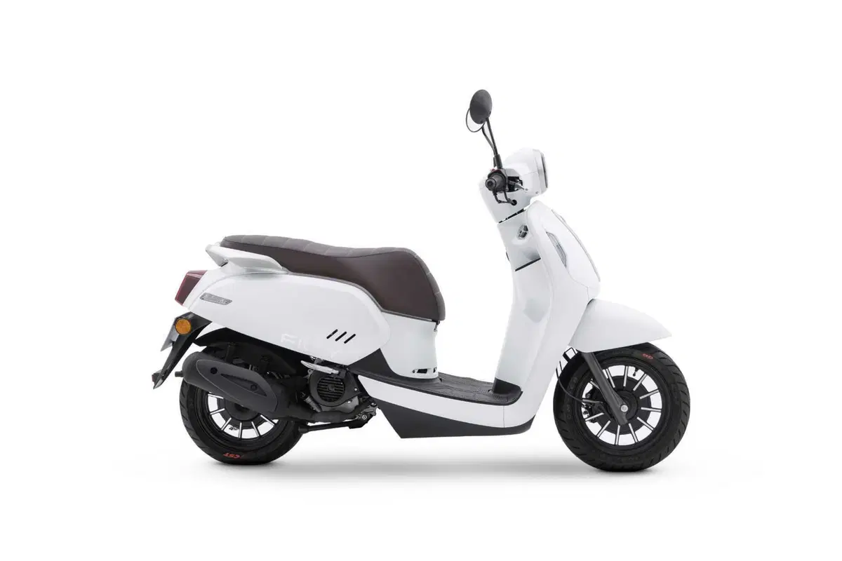 Filly 50