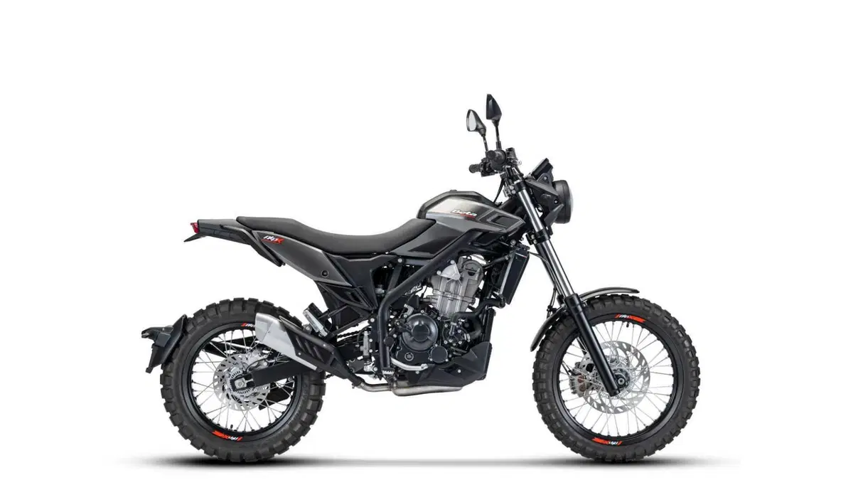 Betamotor Alp X Alp X (2024 - 26) (2)
