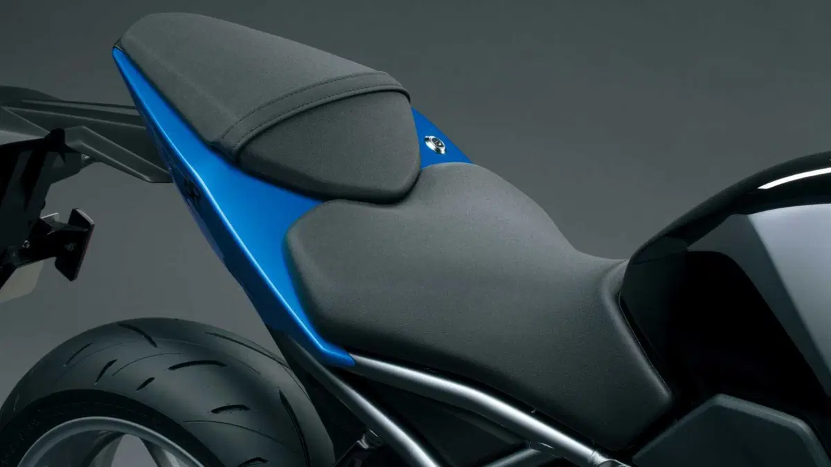 Suzuki GSX-8R GSX-8R (2024 - 26) (20)