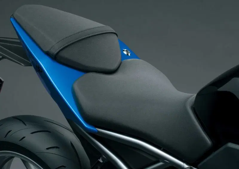 Suzuki GSX-8R GSX-8R (2024 - 26) (20)