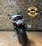 Ducati Monster 821 ABS (2014 - 17) (6)